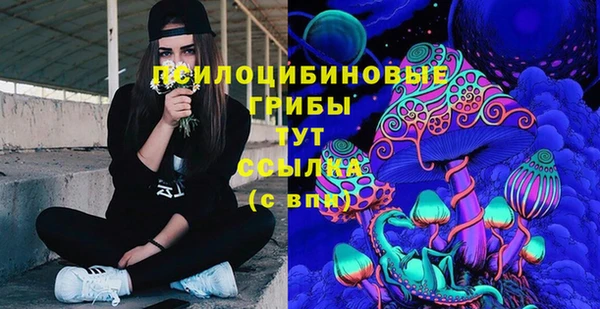 а пвп мука Одинцово
