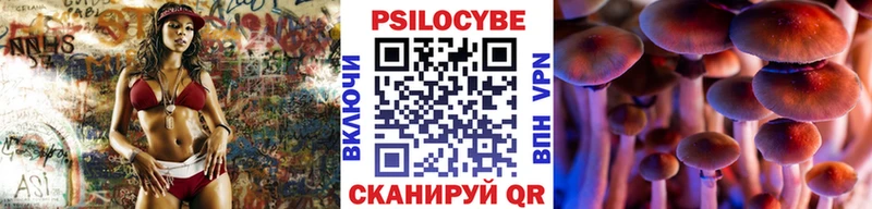 Псилоцибиновые грибы прущие грибы  KRAKEN ссылки  Заозёрный  цена  